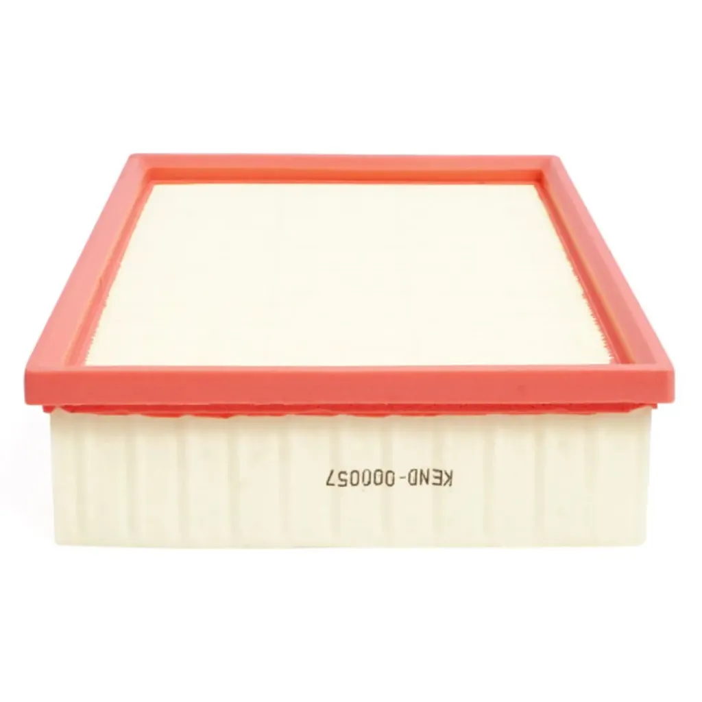 [30059199] FILTRO AIRE HS/GS/RX5 (ORIGINAL) SAIC
